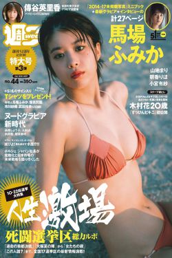 金刚3高清完整免费观看